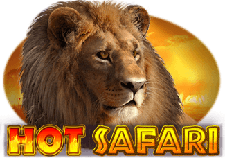 Hot Safari icon